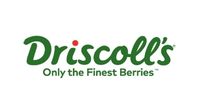 driscolls