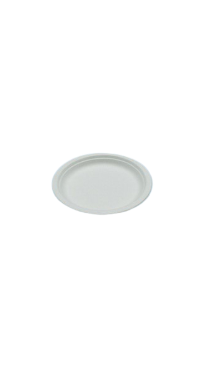 25 plats en plastique -LLANO- 17cm