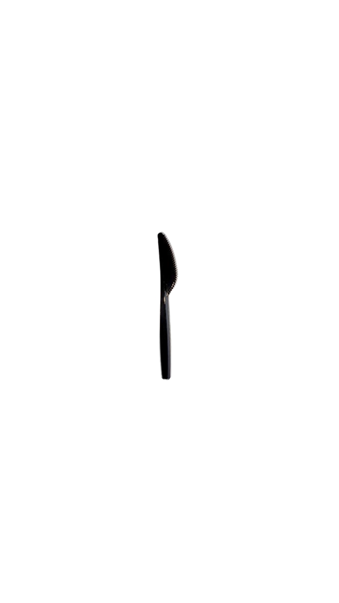 100 Couteaux en plastique NOIR