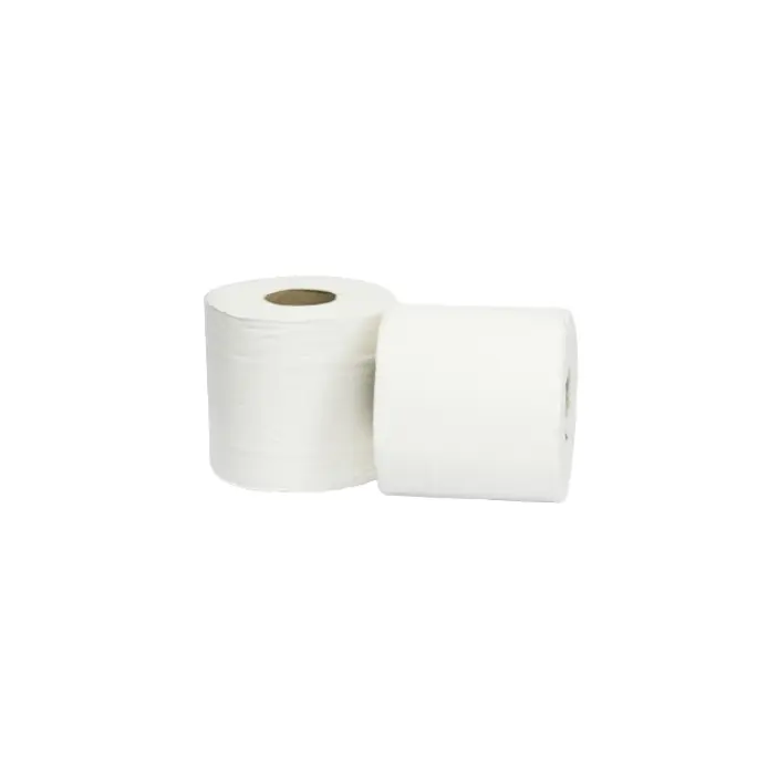 6 Bobines Essuie-Mains, 100% Cellulose, Lisse, 2plis, 1kg