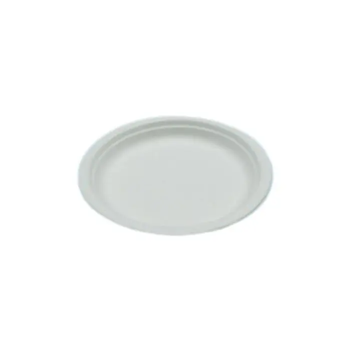 25 plats en plastique -LLANO- 17cm